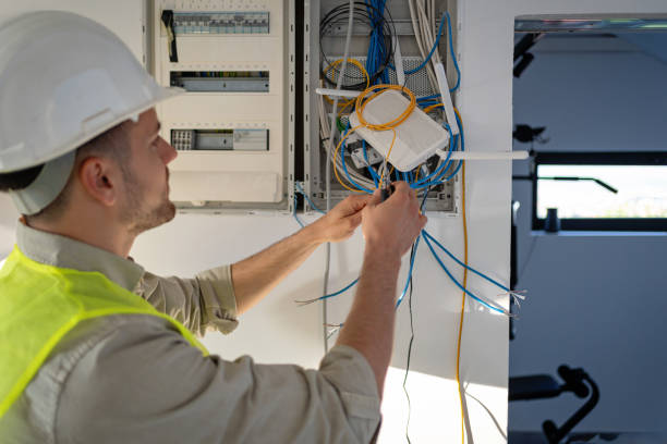 Best Electric Panel Repair  in Senath, MO